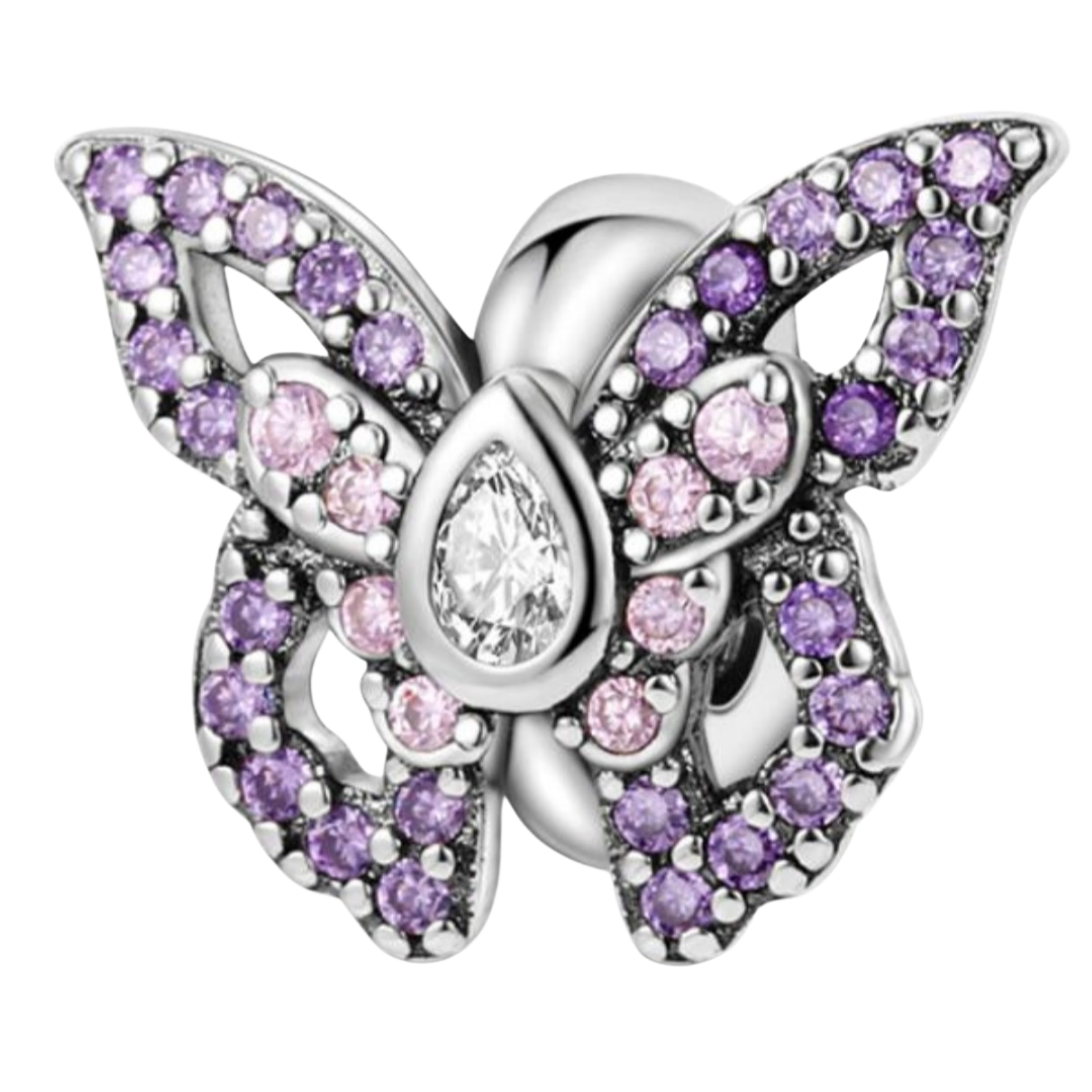 MARIPOSA MORADA