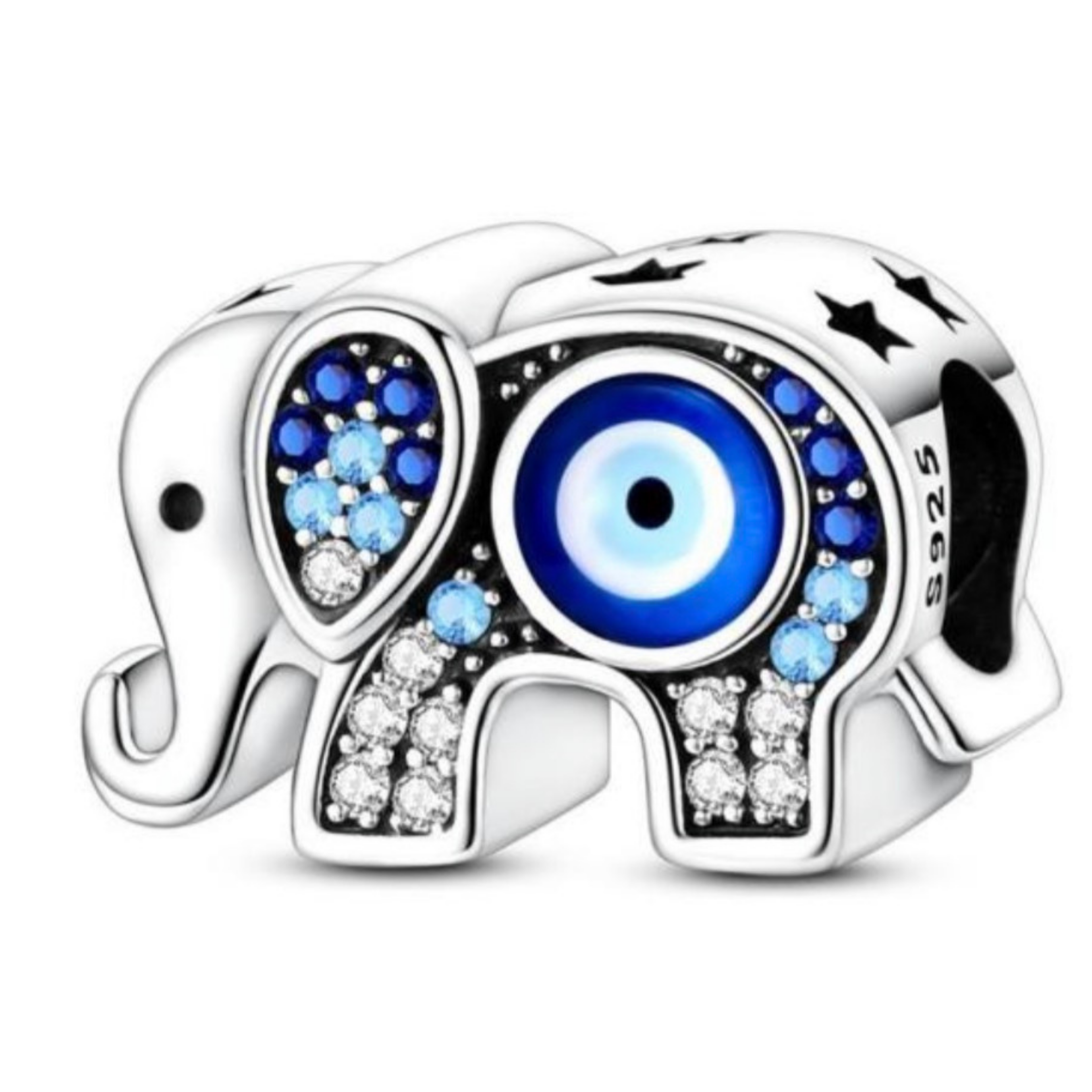ELEFANTE CON OJO