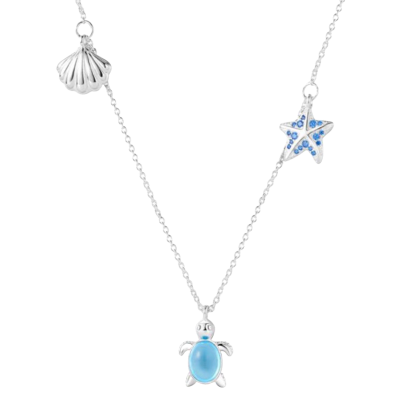 TORTUGA CON CONCHA Y ESTRELLA